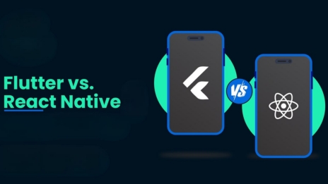 flutter vs react native developer
